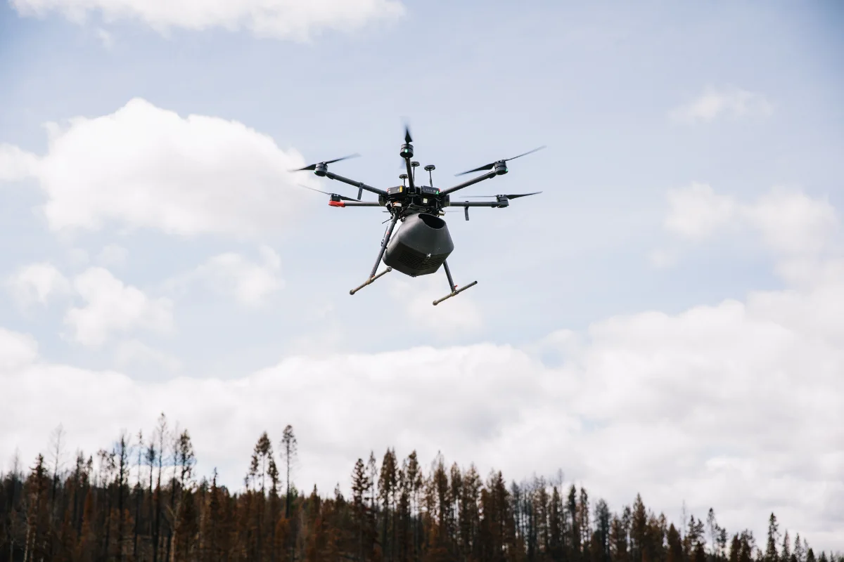 A drone flying over a forest.