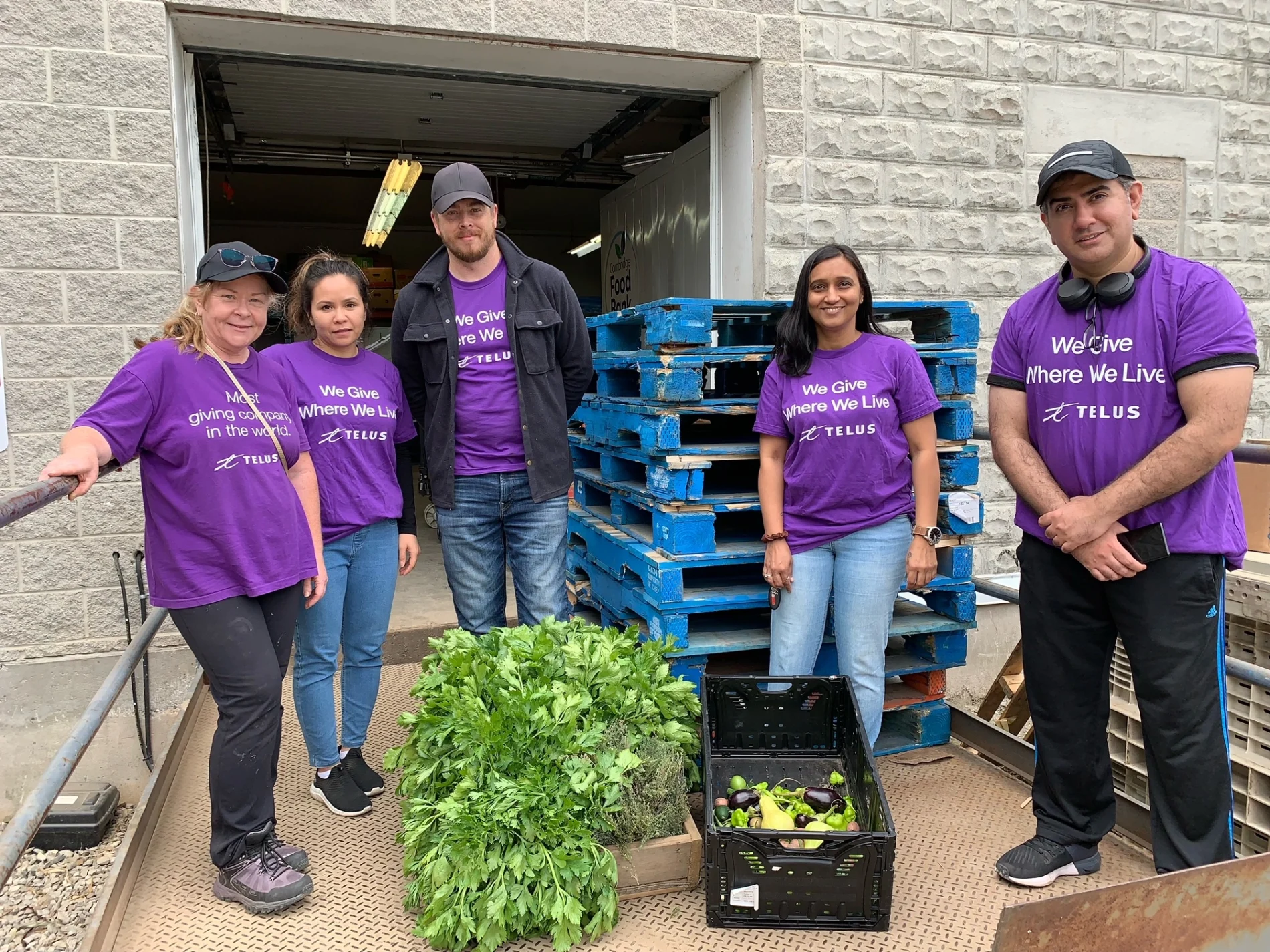 TELUS team members gathered around a crate of plants, helping to establish a community garden. 