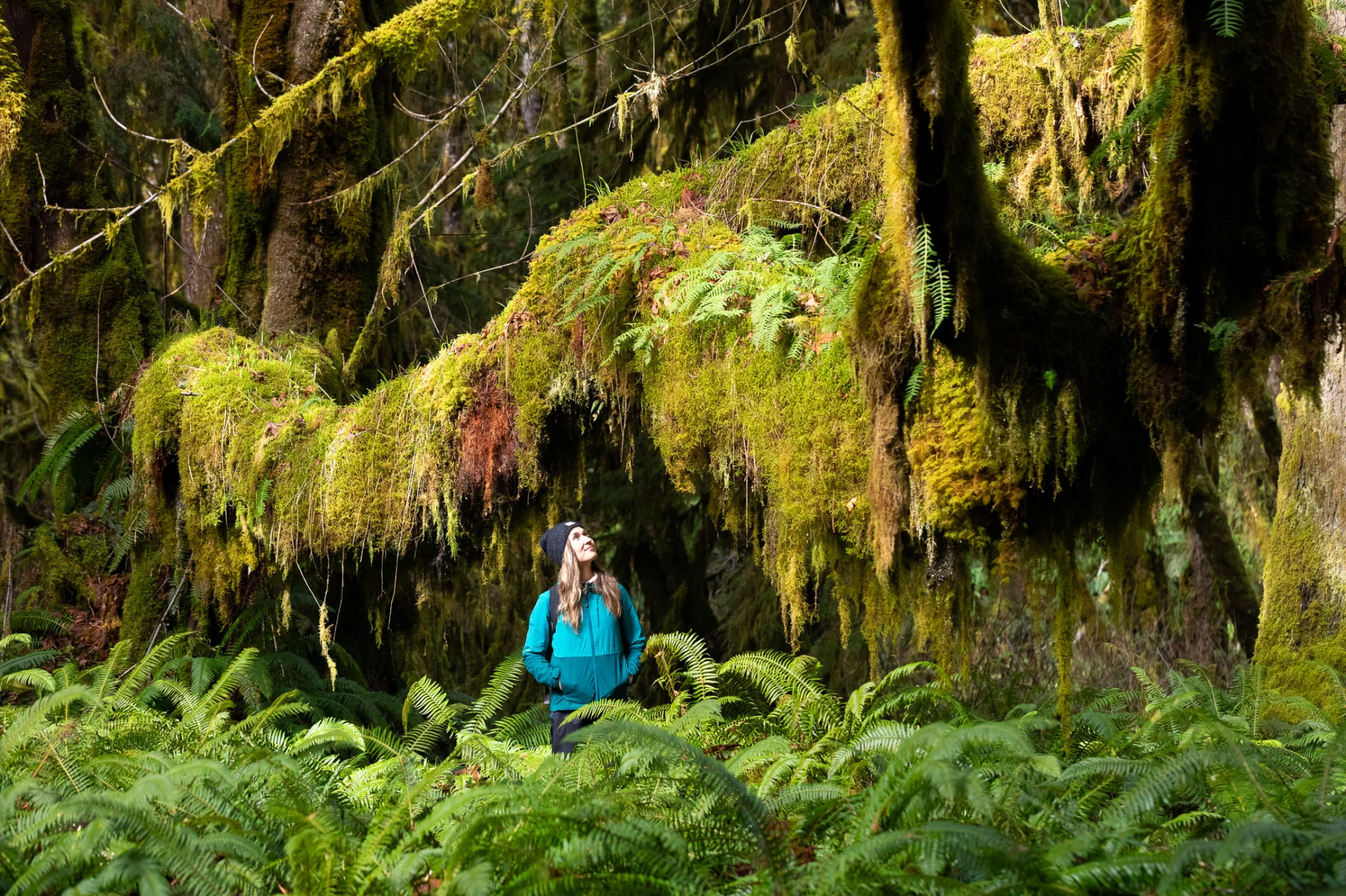 Hania Peper, National Programs Manager at the Nature-Based Solutions Foundation, with Old-Growth Big Leaf Maple

