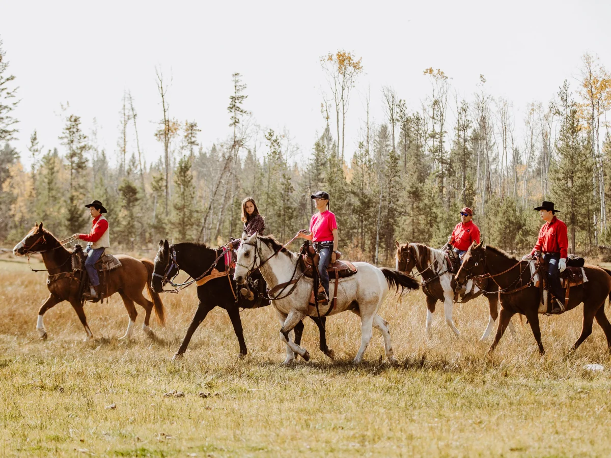 Social Impact - Connecting Canadians - Honouring tradition through technology - Image