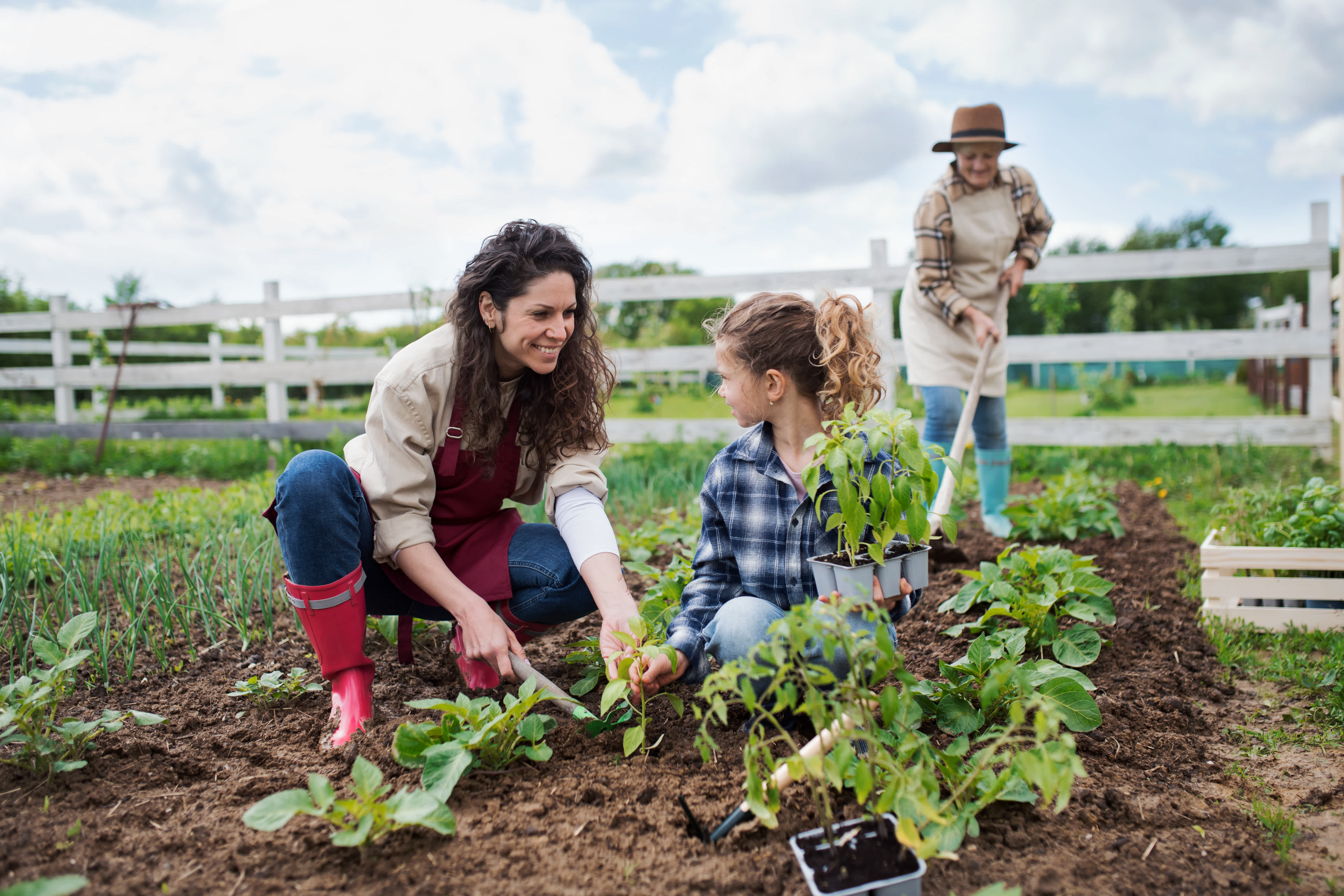 6 health benefits of gardening