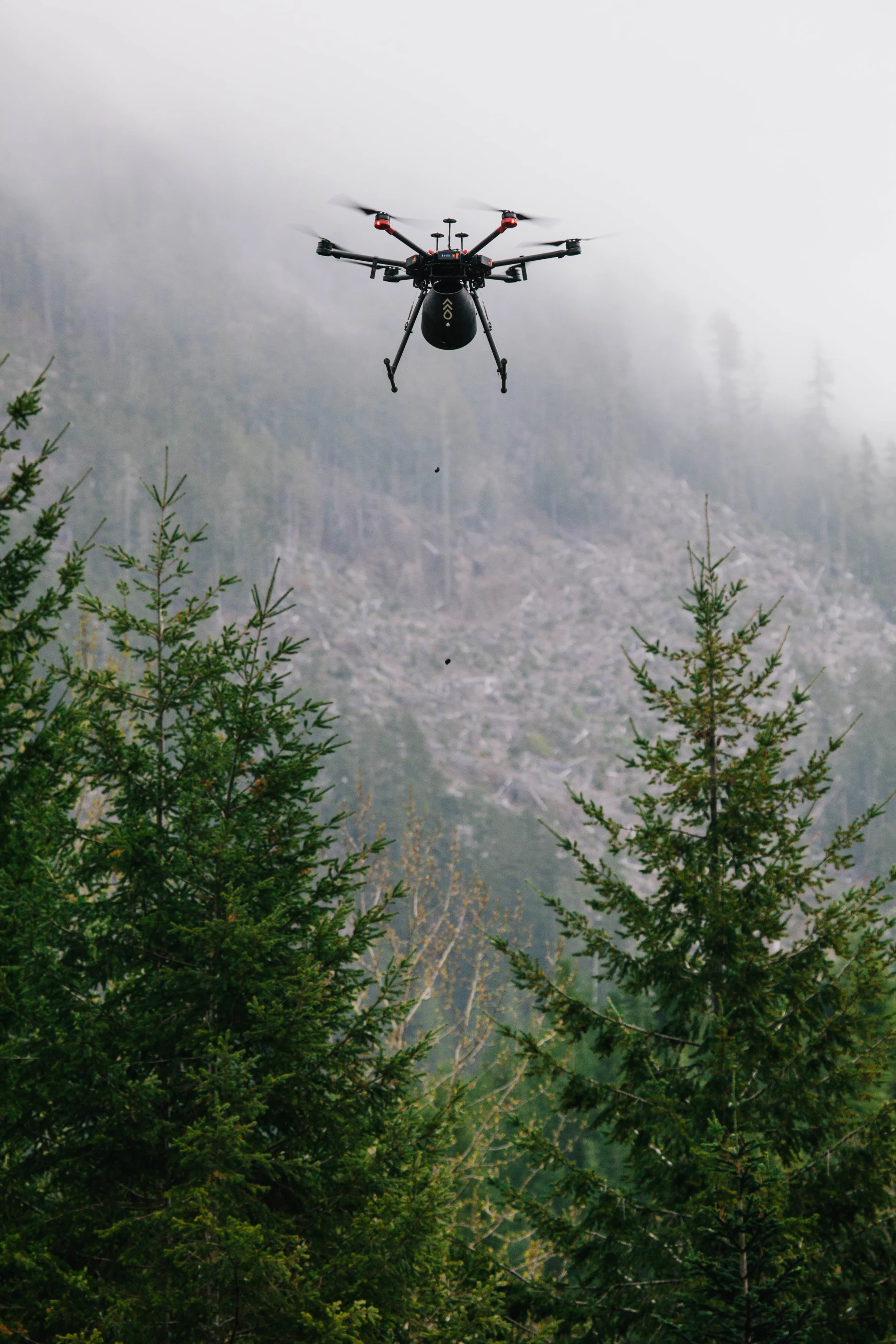 Un drone survolant une forêt.