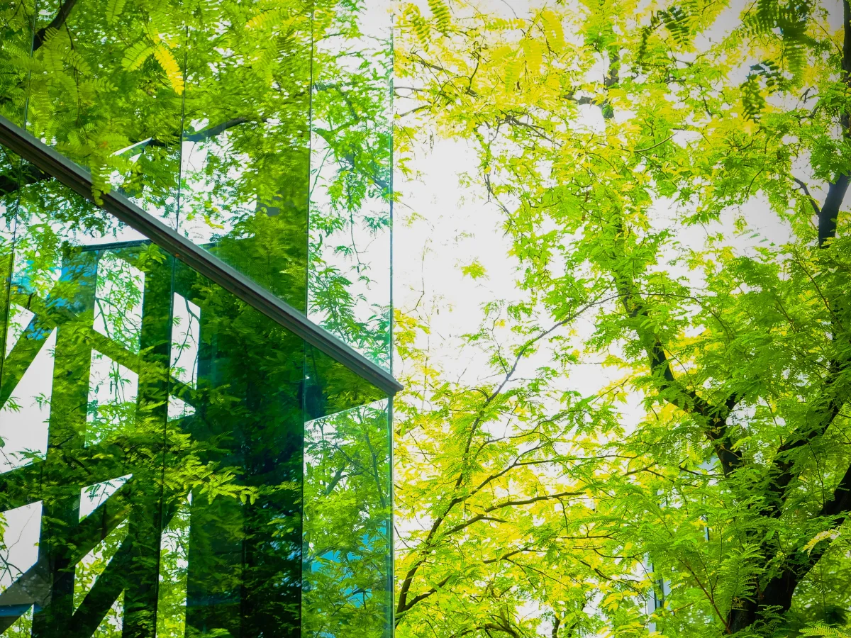 Glass building among greenery and trees 