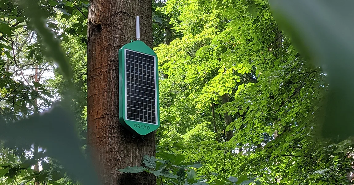 TELUS and Dryad: IoT revolutionizes forest protection