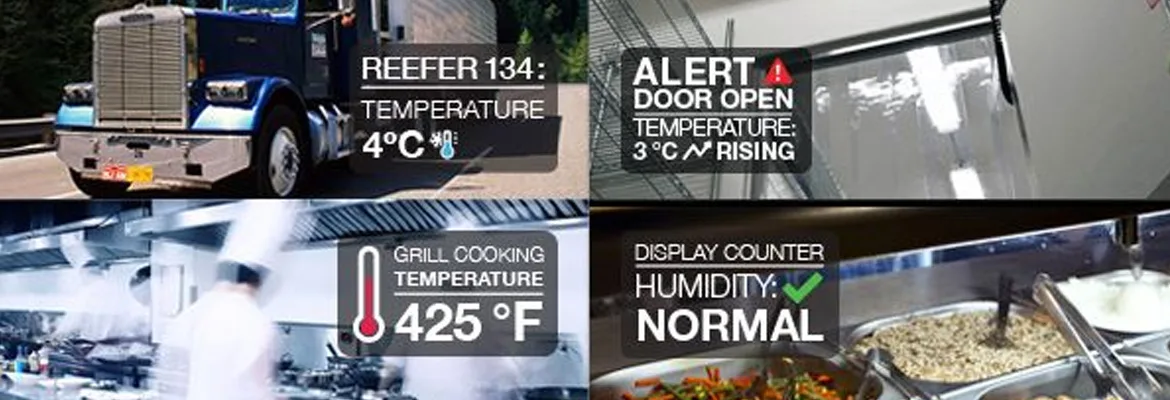 IoT: Keeping food safe with temperature monitoring tools