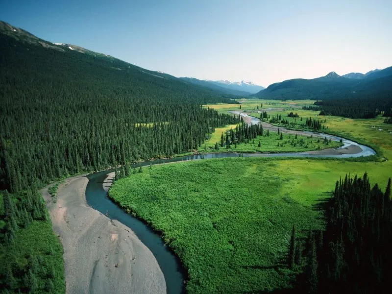 Landscape view of the forest and river in Nass Valley.