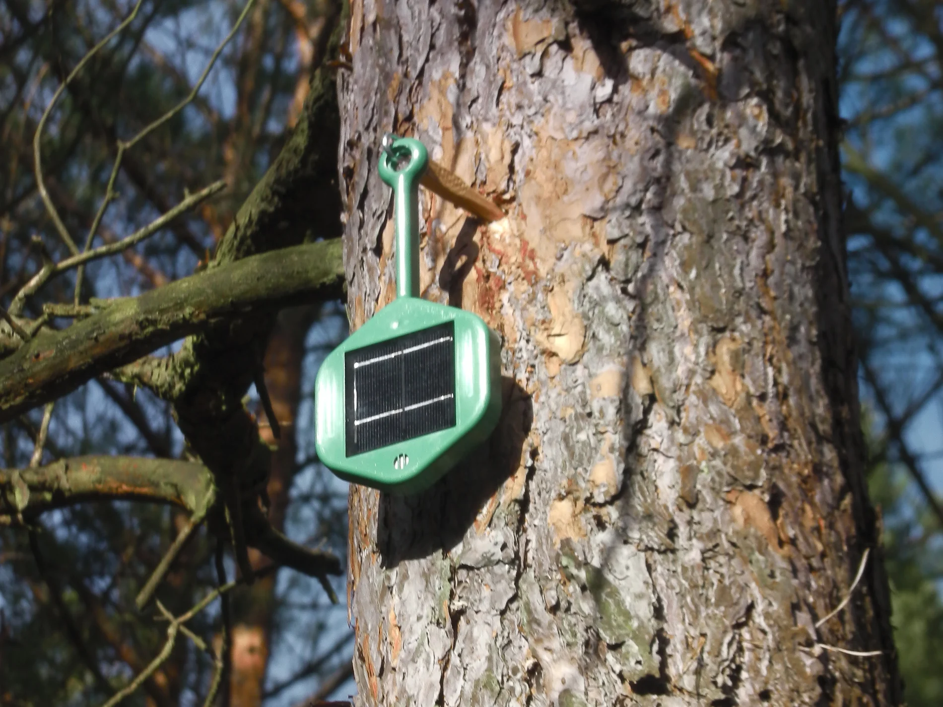 A Dryad Networks sensor ready to detect early signs of forest fire.

