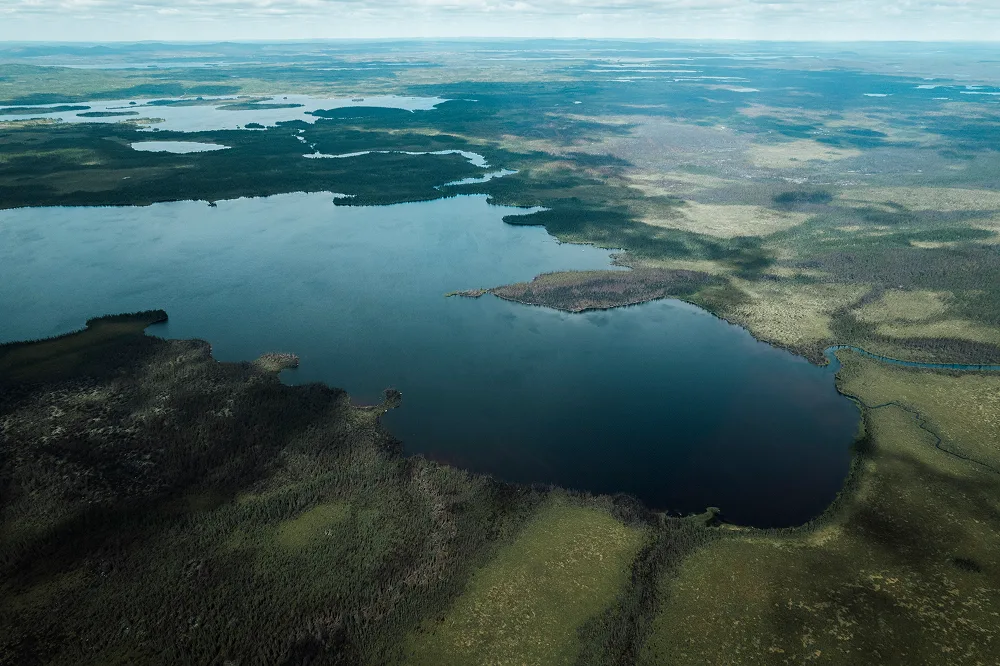 Aerial view of a large body of water surrounded by expansive forest terrain.
