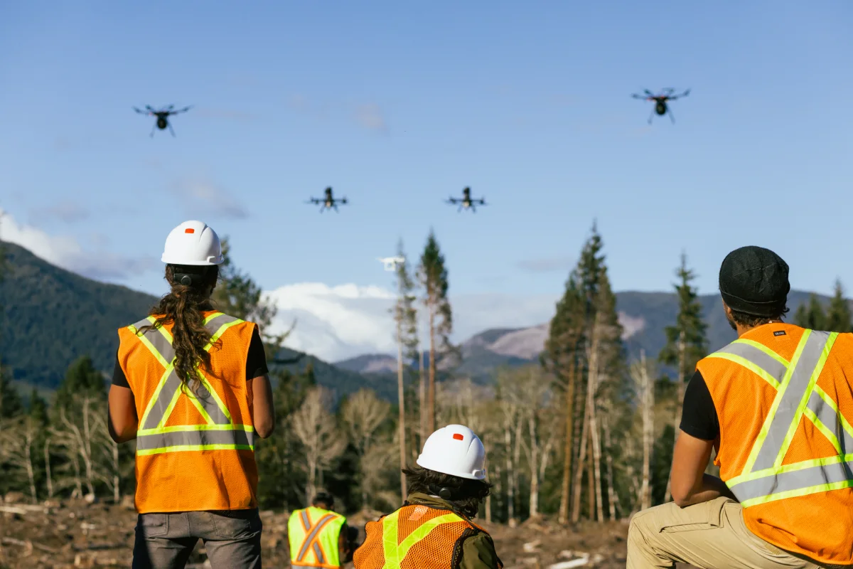 Three land technicians using drones to plant seeds over a forest.