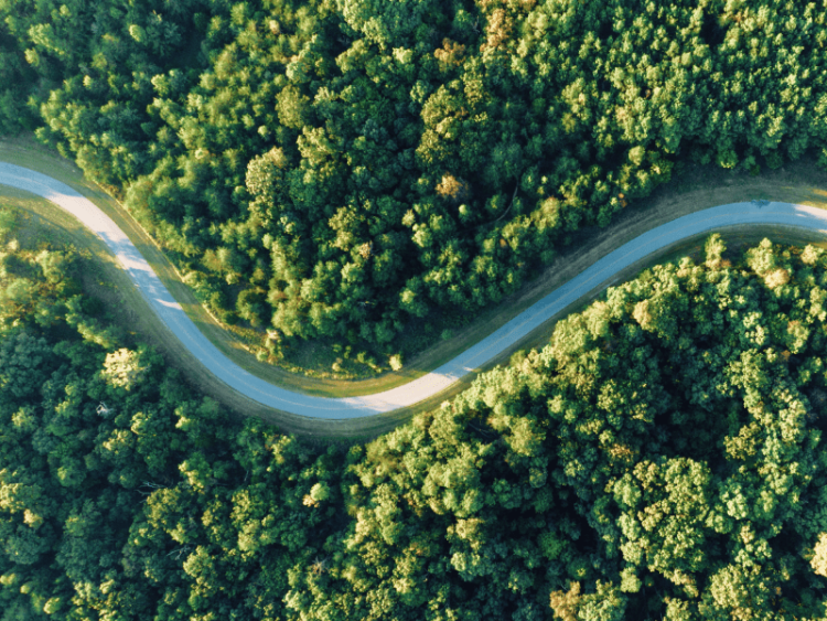 Photo aérienne de la route entre la forêt.