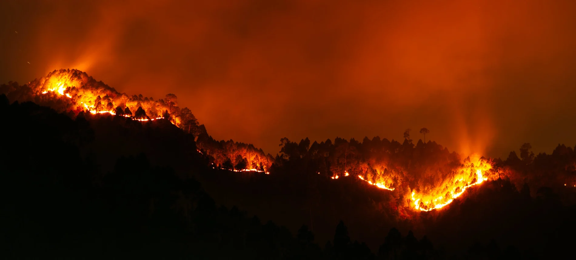 Vue panoramique d'un incendie de forêt
