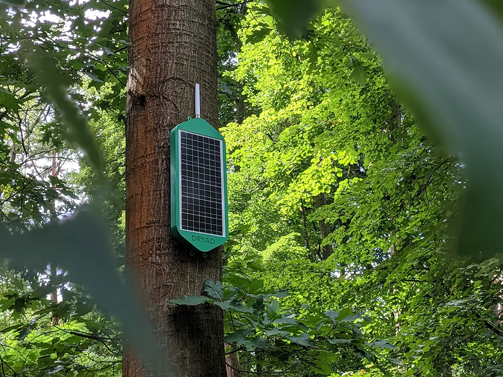 TELUS et Dryad : l'IdO révolutionne la protection des forêts