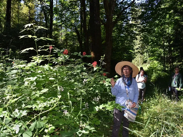 Social Impact - Connecting Canadians - How technology supports wetland environmental rehabilitation - Image