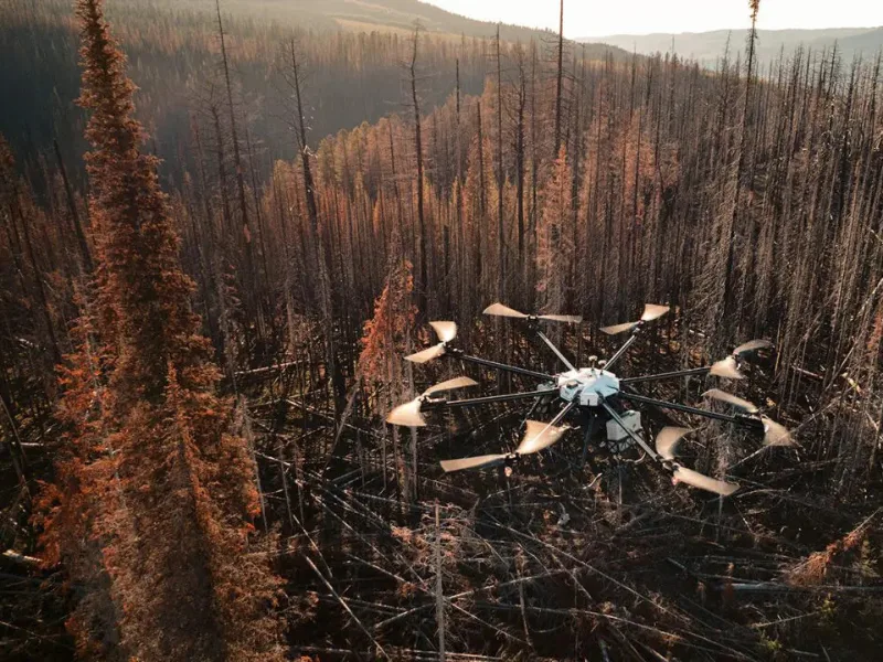 A drone hovering over a burned forest site, accelerating post-wildfire recovery.