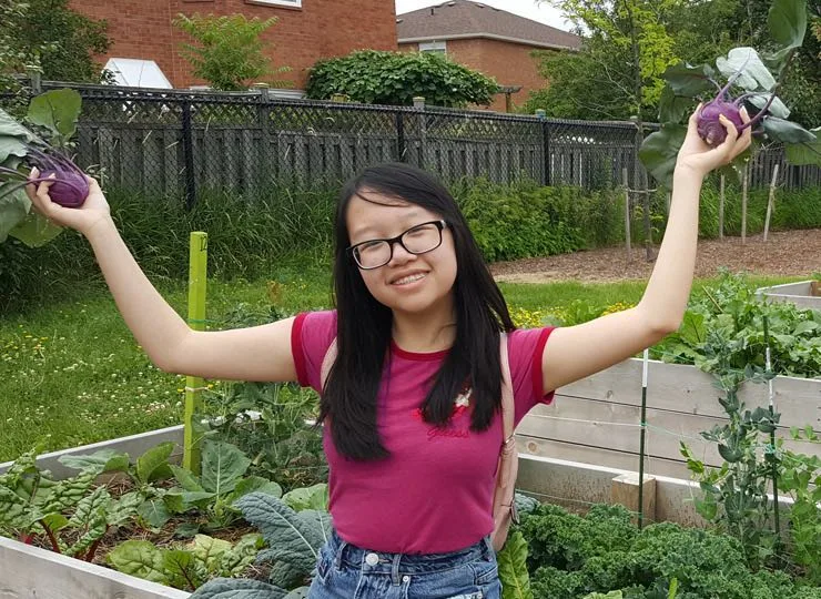 Young girl in community garden holding up beets