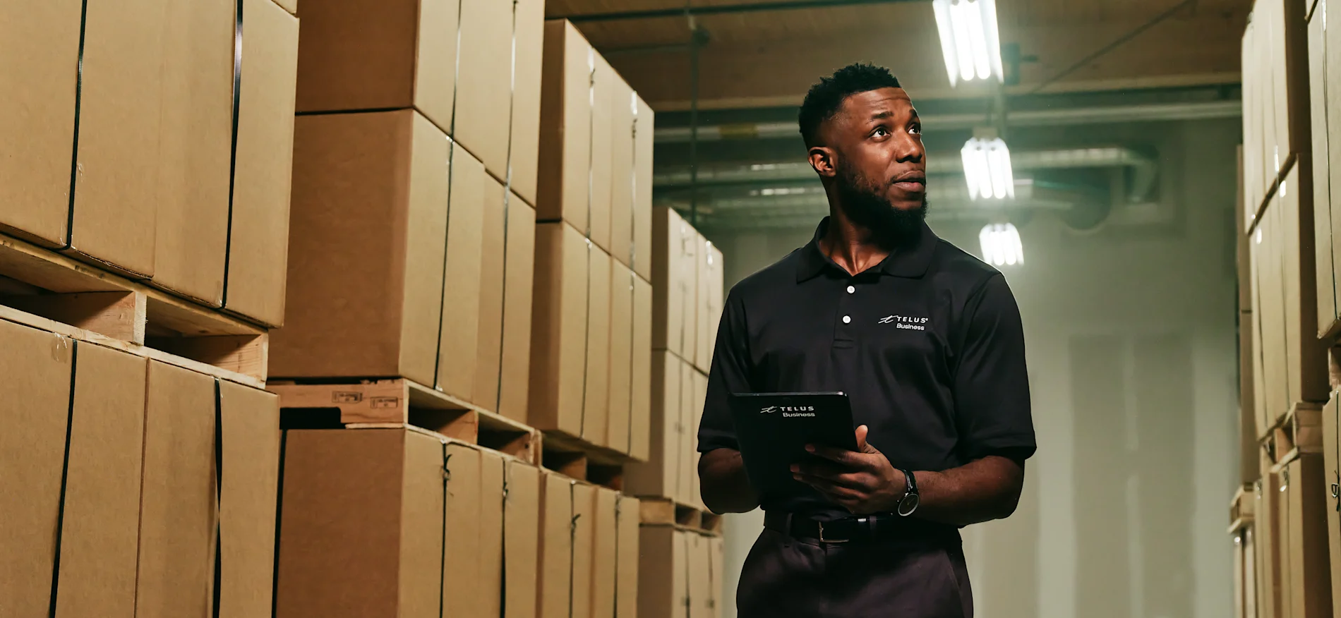 Growing without compromise - hero