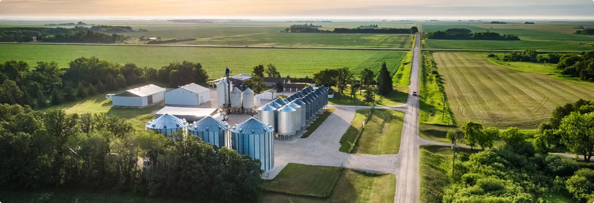 Une cour de ferme entourée de champs verdoyants