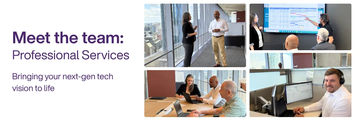 Meet the team blog header - Professional Services 