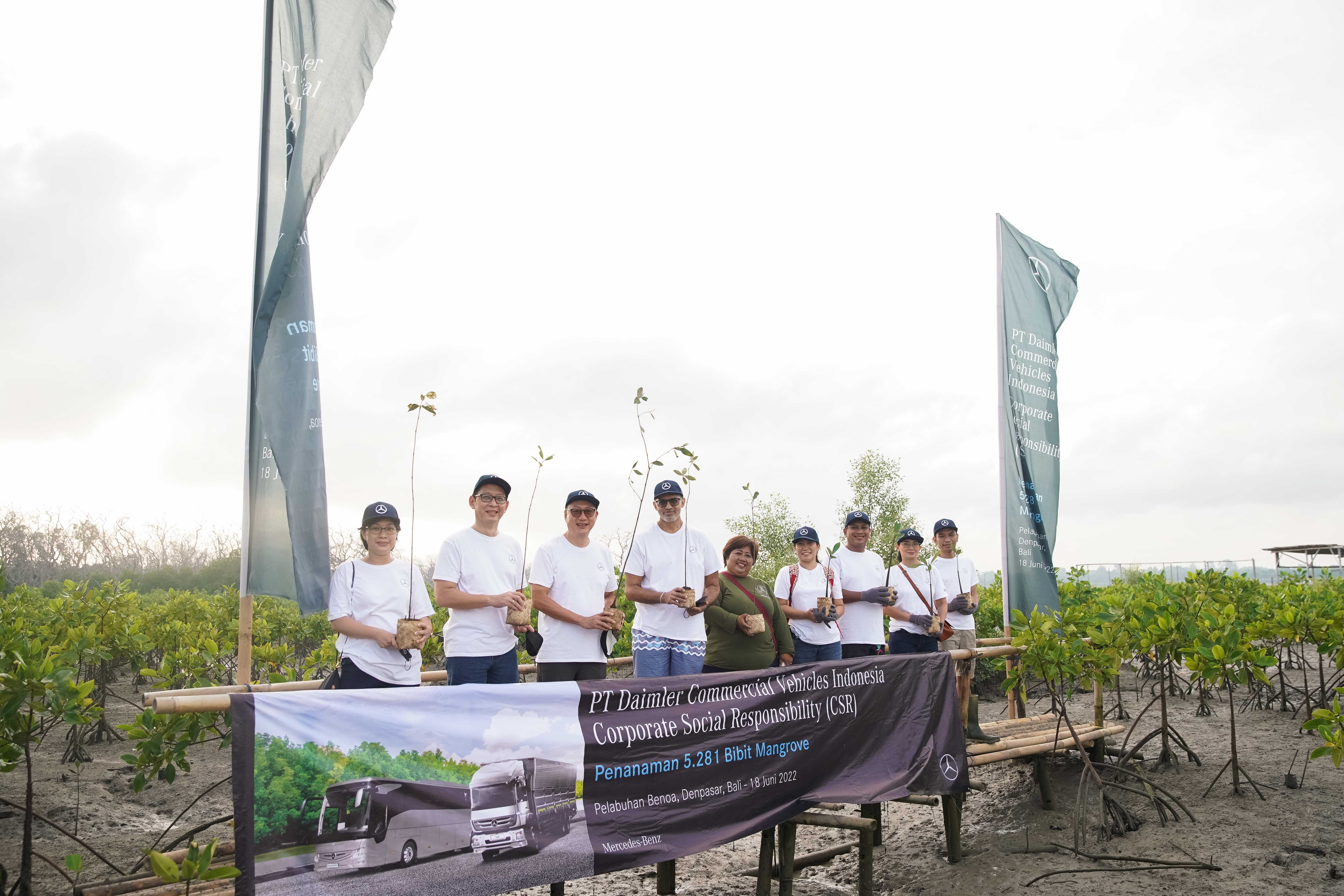DCVI Tanam Ribuan Bibit Mangrove di Bali