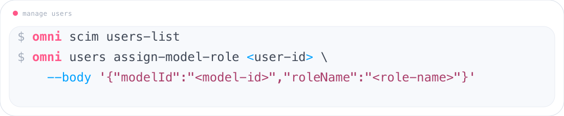 Manage users and model roles with the Omni CLI