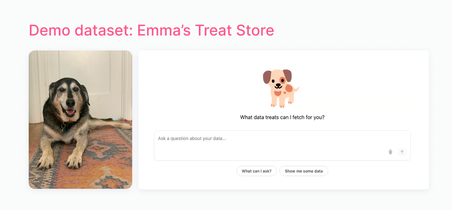 Tuning for AI context demo dataset