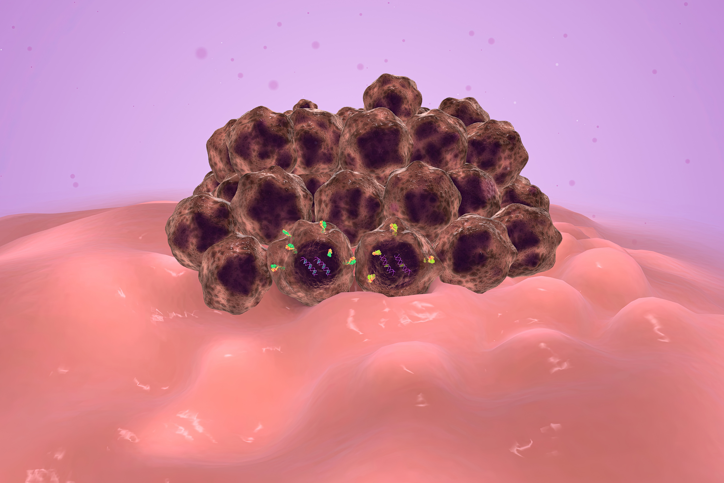 Trastuzumab Deruxtecan Shows Efficacy in PanTumor Trials