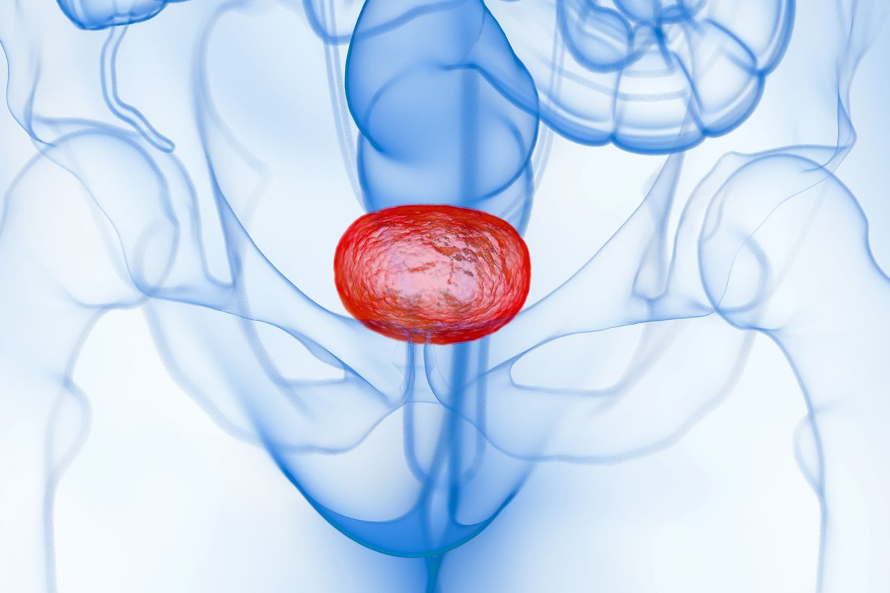 Updated EV-302 Trial Results Show Improved Survival With EV+P in Metastatic Urothelial Cancer
