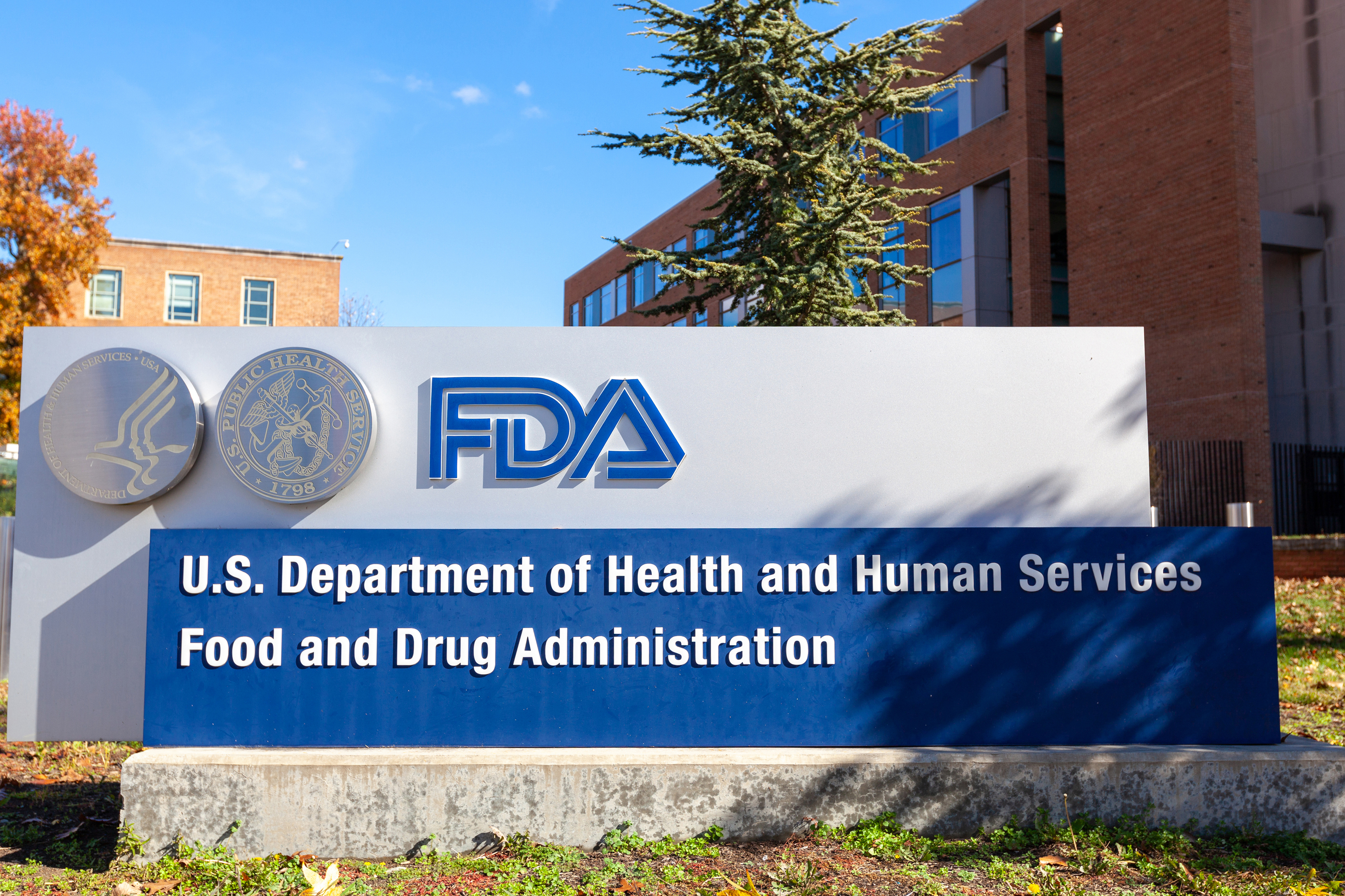 FDA Advisory Panel Calls for Randomized Data for PI3K Inhibitor ...