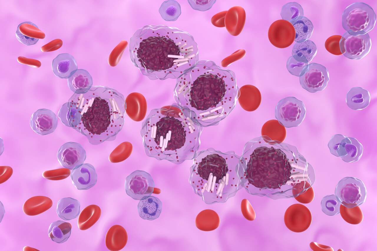 Pirtobrutinib (Jaypirca) Noninferior to Ibrutinib (Imbruvica) in Treatment-Naïve CLL, Phase 3 Data at ASH 2025 Show