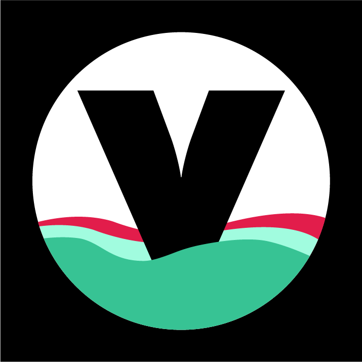 vistify logo