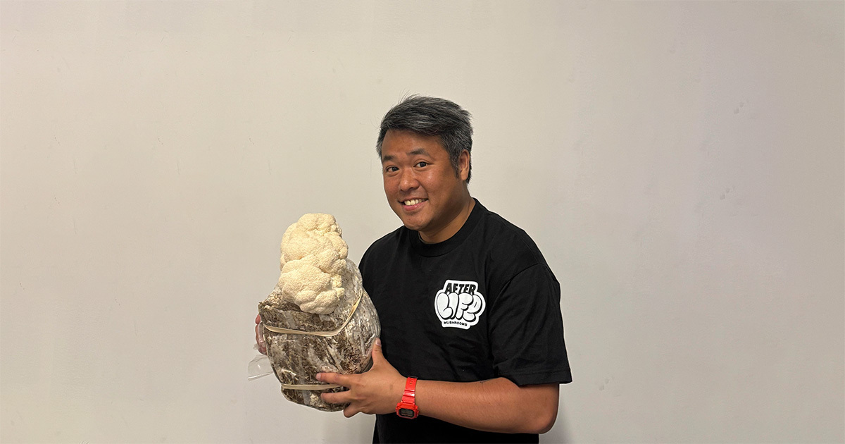 Mushroom Newsroom size