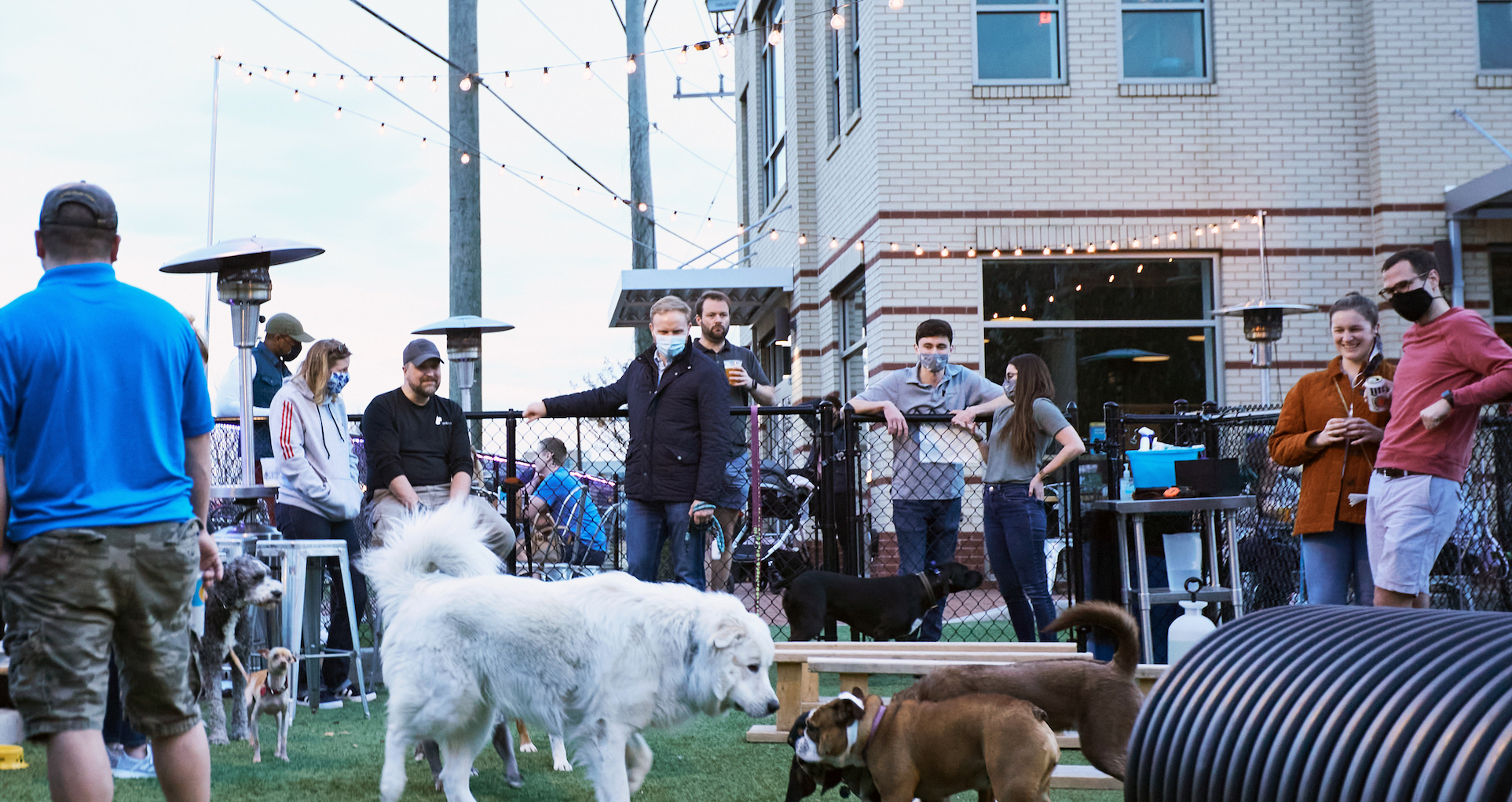 2021 Q2 DC Barkhaus001