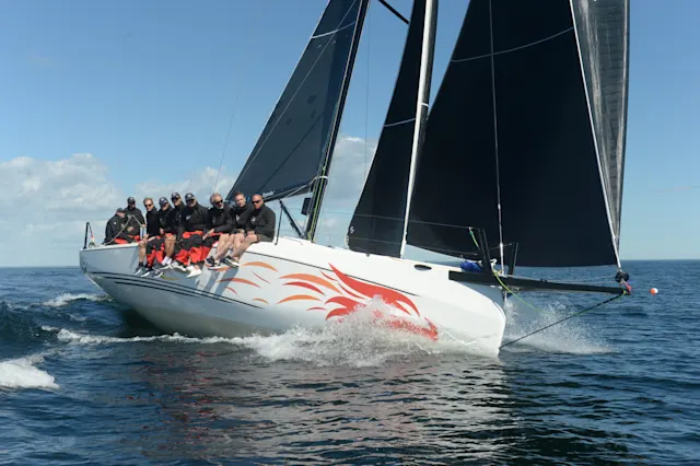 Pandion seglar