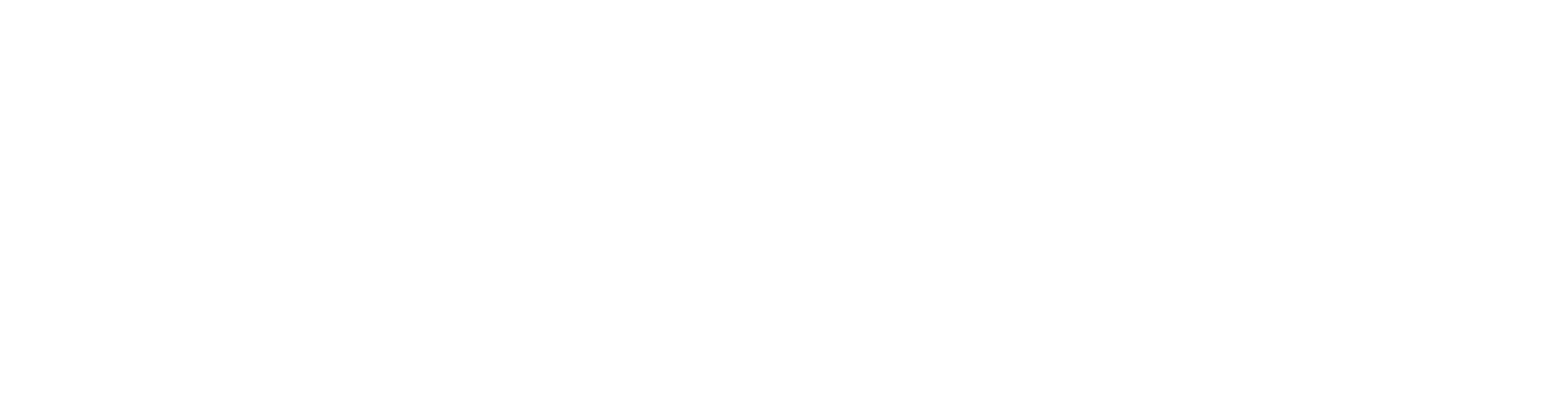 Skippo logo