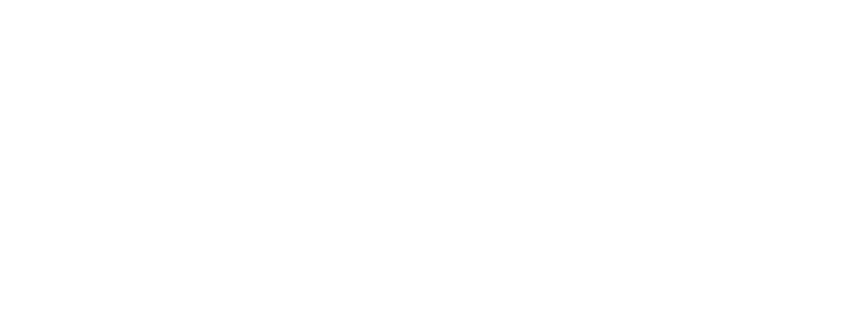 Martin Servera logo