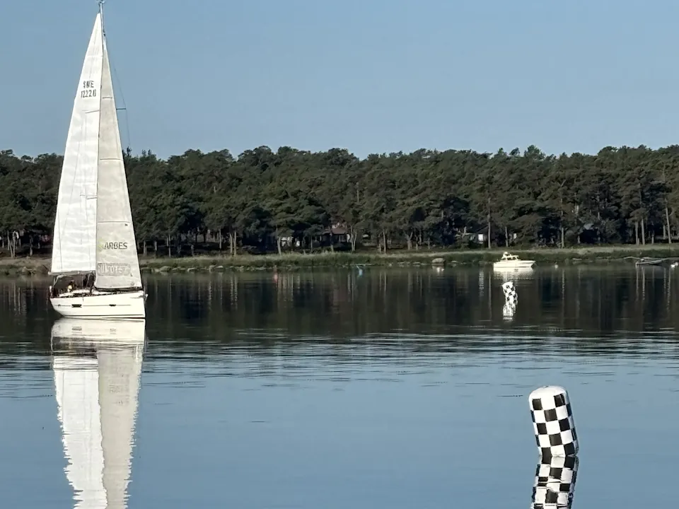 IMG 2049