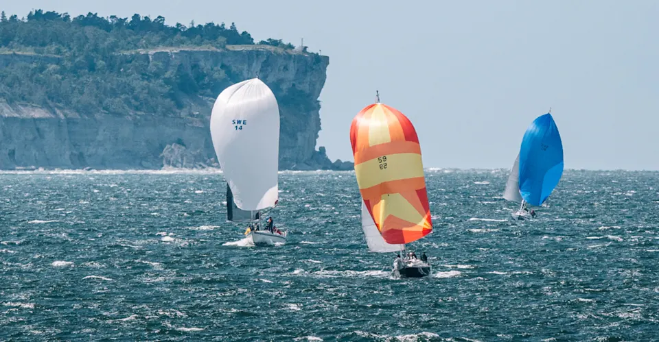 Necesse vid Gotland.jpg