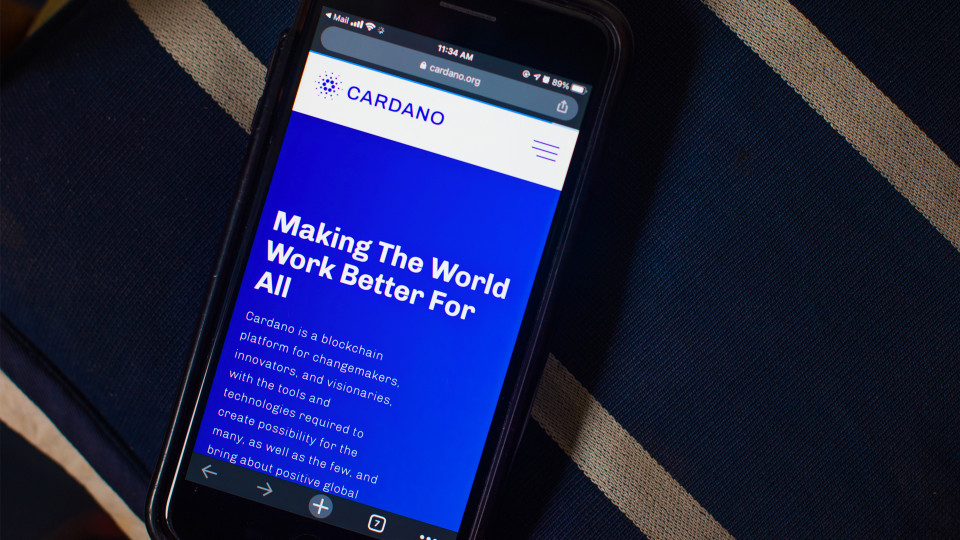 Splendid start work with Cardano