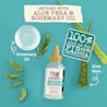 Scalp Care Soothe & Strengthen Serum with Rosemary Oil ingredient card