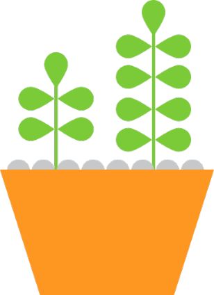 Indoor plant