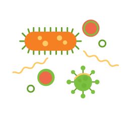 Bacteria & microbiota graphic