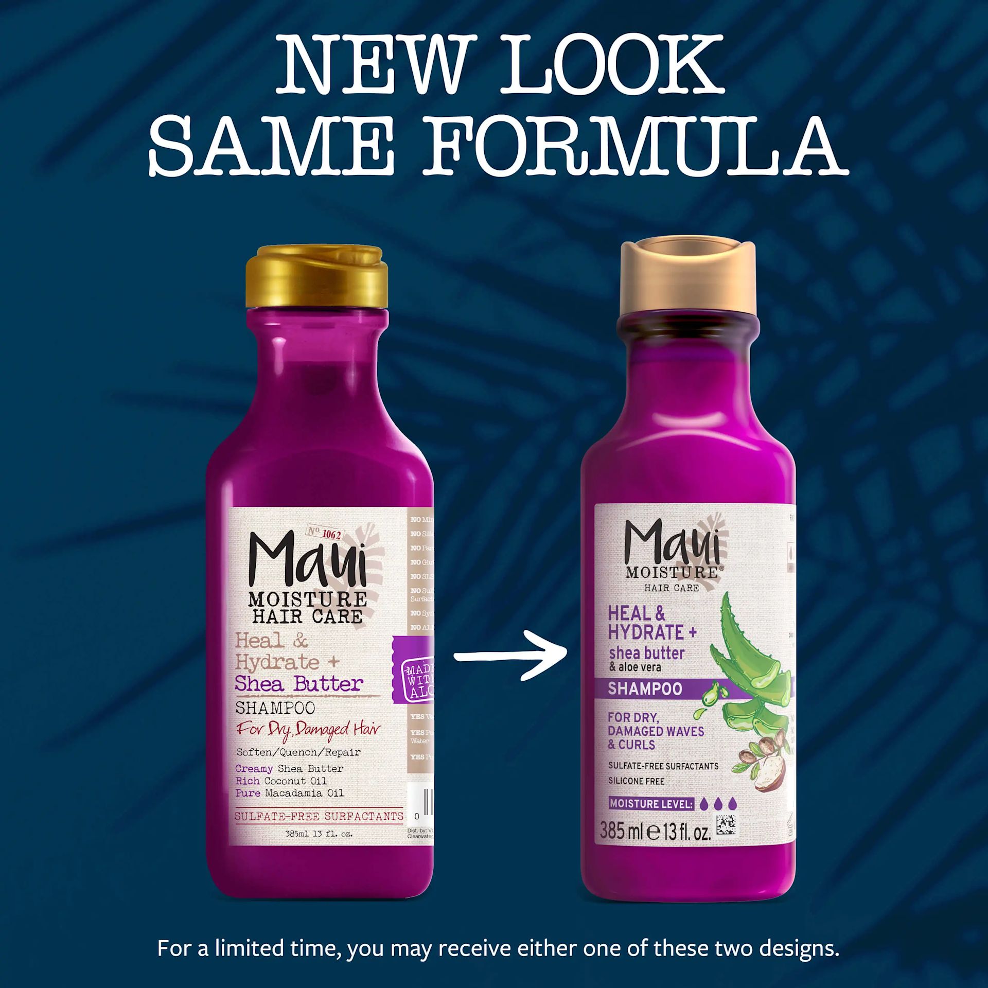 Heal & Hydrate + Shea Butter Shampoo