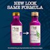 Heal & Hydrate + Shea Butter Shampoo