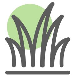 Grass