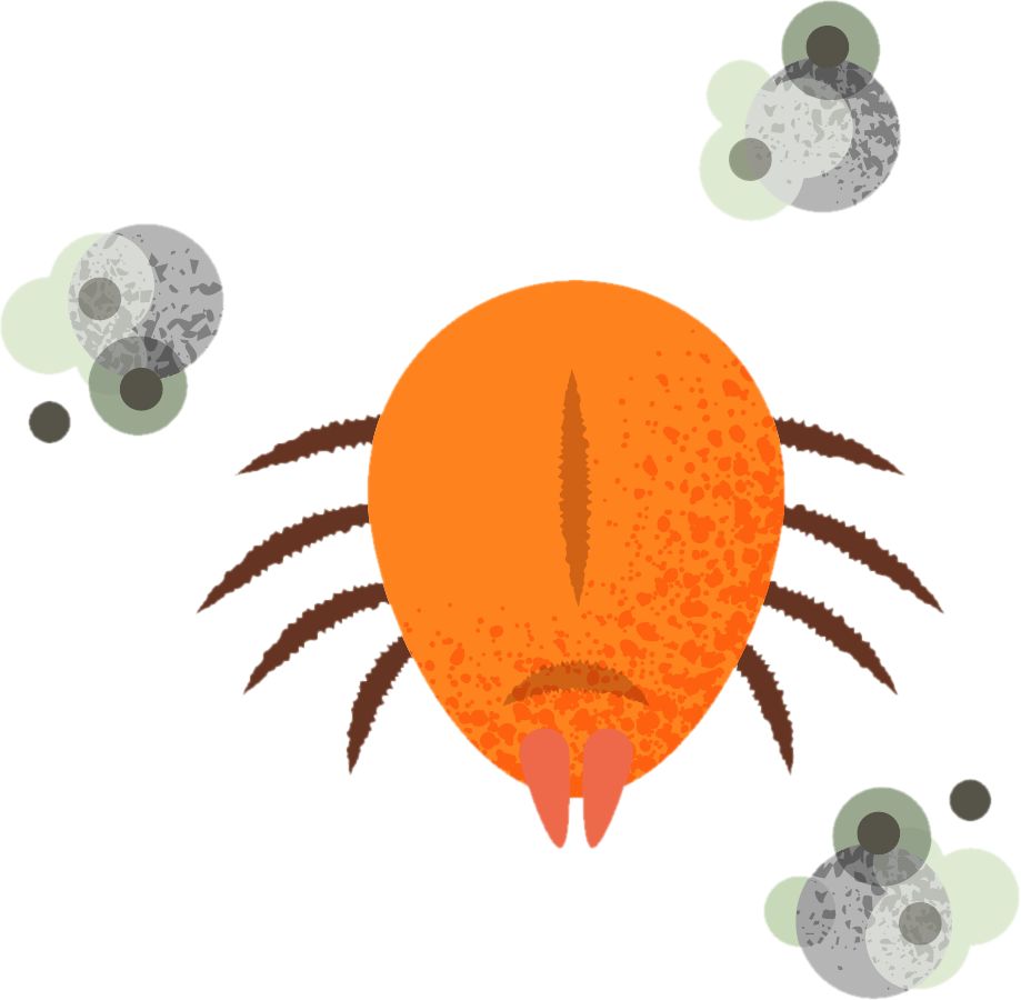 Dust and mites