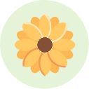 Yellow flower graphic