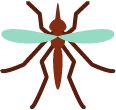 Mosquito