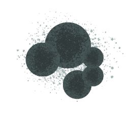 Penicillium