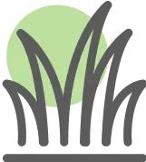 Grasses