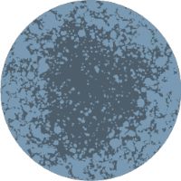 Illustration of a blue mold spore